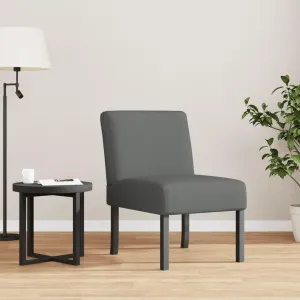 Cozy Dark Gray Slipper Chair for Relaxation, Stylish Design with Supportive Backrest, for Lounging at Home